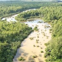 463 Acres in Quitman County in Lambert MS images 1