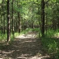 463 Acres in Quitman County in Lambert MS images 2