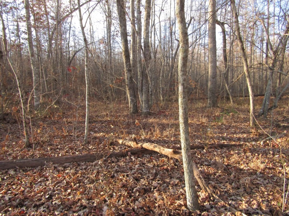 4.2 ac Arrow Trail Lot 1 featured image