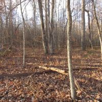 4.2 ac Arrow Trail Lot 1