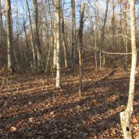 4.2 ac Arrow Trail Lot 1 images 4