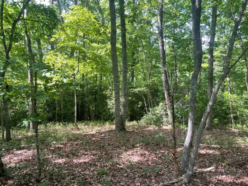 - 6.85 Acres on Woodall Mountain Road in Pickens SC featured image