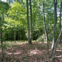 - 6.85 Acres on Woodall Mountain Road in Pickens SC