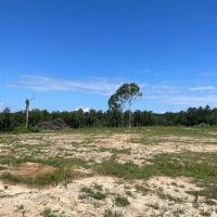 Mt Hermon 20 Acres For Sale images 4