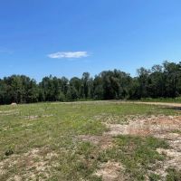 Mt Hermon 20 Acres For Sale images 5