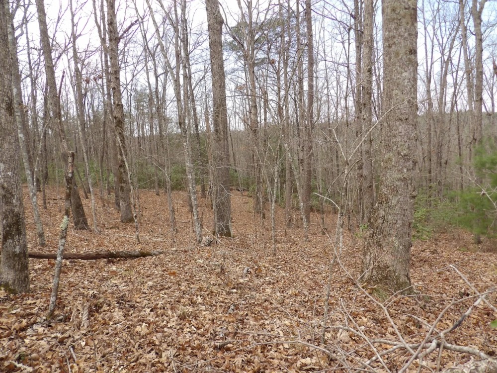 Lot 16R Stockton Bluffs Lane featured image