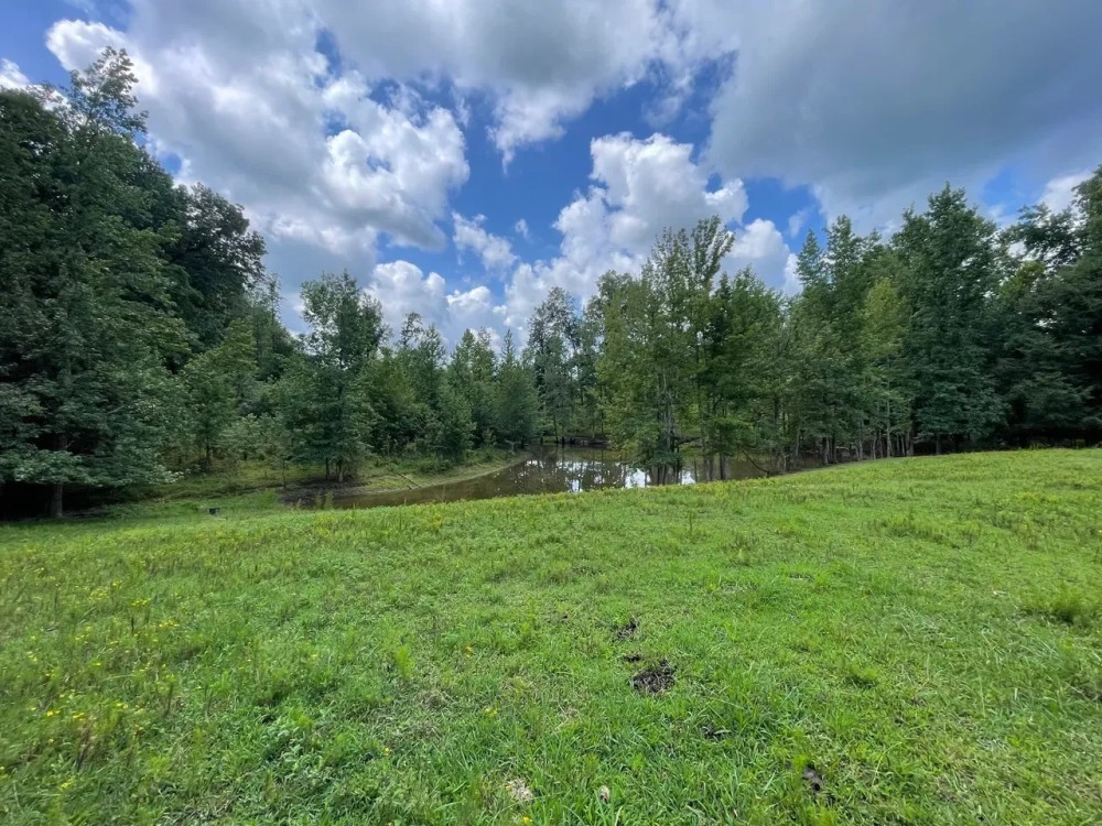 Limestone County 6.5 - Acre Homestead featured image