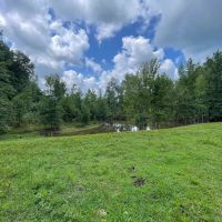 Limestone County 6.5 - Acre Homestead