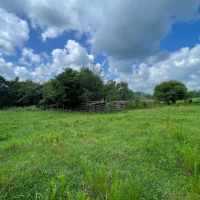 Limestone County 6.5 - Acre Homestead images 2