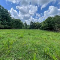 Limestone County 6.5 - Acre Homestead images 3