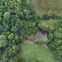 Limestone County 6.5 - Acre Homestead images 5