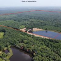 Cypress Bayou 390 images 2