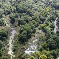 Cypress Bayou 390 images 3