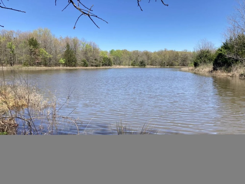 BLACKBERRY RANCH- 190 ACRES COLEMAN OK featured image