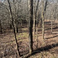 Mason Dixon Hwy. Somerset County - 29 acres images 3