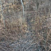 Mason Dixon Hwy. Somerset County - 29 acres images 5