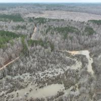 Lamar County Properties 125 Acres images 5
