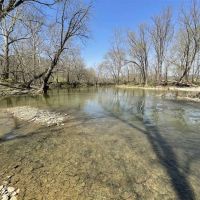 Black Walnut Plantation For Sale in Ohio County IN has great future income potential with excellent recreation. images 3