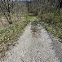 Black Walnut Plantation For Sale in Ohio County IN has great future income potential with excellent recreation. images 5