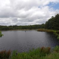 230 ACRES OF PRIME HUNTING AND RECREATIOAL PROPERTY images 2