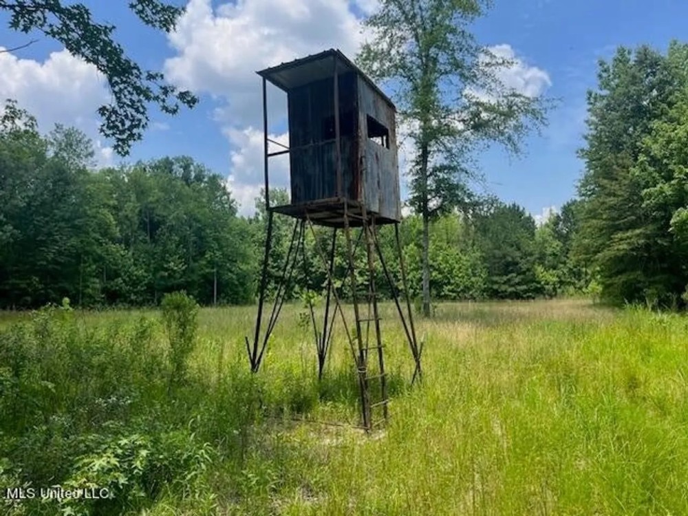 100 Acres in Madison County Mississippi featured image