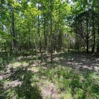 100 Acres in Madison County Mississippi images 3