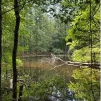 39.6 Acres in Carroll County in West MS images 5