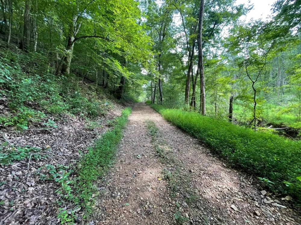 Limestone County 125 - acre Recreational Tract featured image