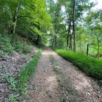 Limestone County 125 - acre Recreational Tract