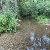 Limestone County 125 - acre Recreational Tract images 2