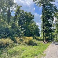 Limestone County 125 - acre Recreational Tract images 4