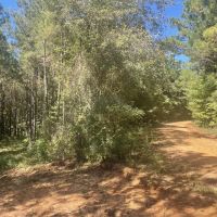 50 - acres Perry County AL
