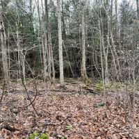 Listonburg Rd. Somerset County - 25 acres images 4