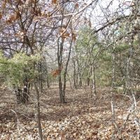 310 ACRES OF SECLUDED RECREATIONAL LAND images 5