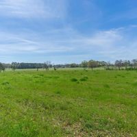 Beautiful 3 Acre Homesite Lot in Greenville Lot 5 images 3