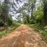 38 Acres in Kemper County MS