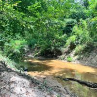 38 Acres in Kemper County MS images 2
