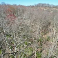 Mudlick Hollow Rd. Beaver County - 68 acres images 5
