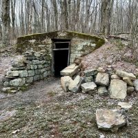 Grimm Rd. Fayette County - 118 acres images 2