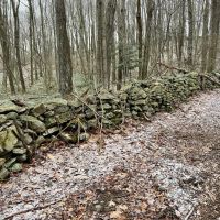 Grimm Rd. Fayette County - 118 acres images 3