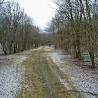Grimm Rd. Fayette County - 118 acres images 5