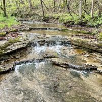 Narrows Rd Fayette County - 244 acres