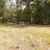 RANCH AND RECREATIONAL 520 ACRES BOSWELL CHOCTAW CO. OKLA. images 3