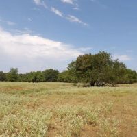 RANCH AND RECREATIONAL 520 ACRES BOSWELL CHOCTAW CO. OKLA. images 5