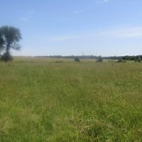 Prime Lick Creek Recreational Hunting Tract Choctaw County OK 11 AC images 3