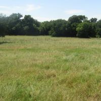Prime Lick Creek Recreational Hunting Tract Choctaw County OK 11 AC images 4