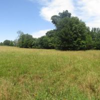 Prime Lick Creek Recreational Hunting Tract Choctaw County OK 11 AC images 5