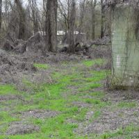 Woods Holdings images 3