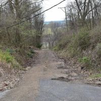 Woods Holdings images 4