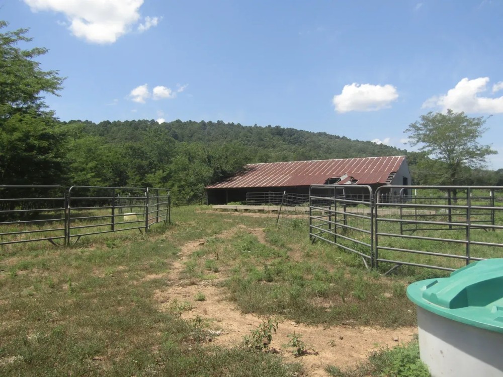 140 ac hunting Agricultural Property featured image
